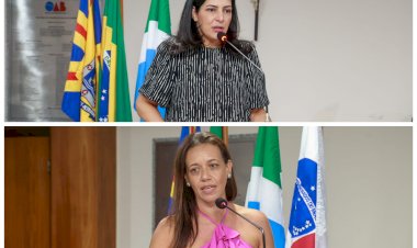 Presidente da COMCEVID Luciana Azambuja e Presidente da Comissão da Mulher Advogada Beatriz Stuart participam de Sessão do Conselho